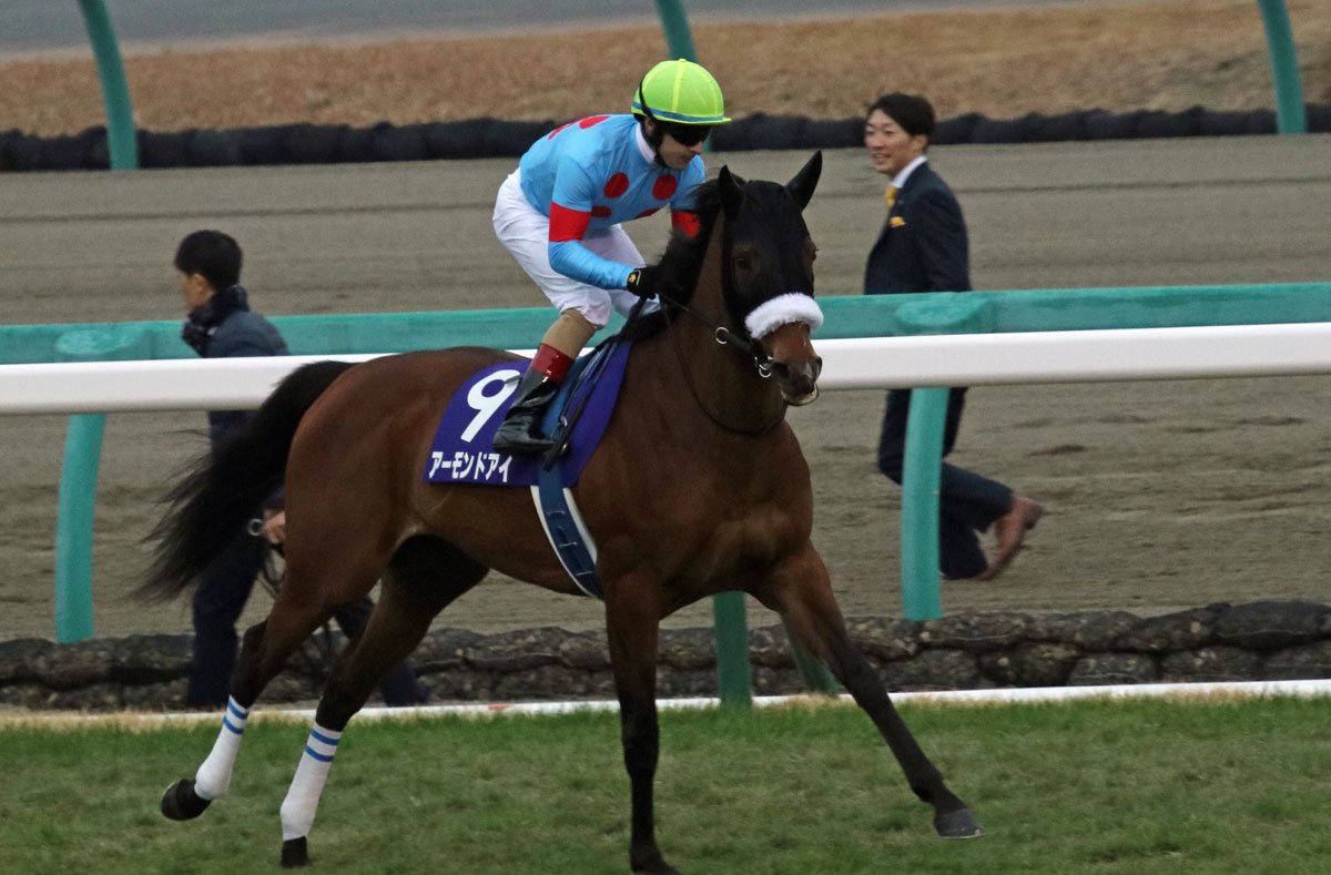 JRAジャパンC（G1）アーモンドアイ陣営の有馬記念「ディスり」発言に