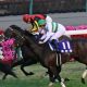 元JRAアンカツ「正直、つまらん」ノーザンファーム「使い分け」に苦言……日本馬海外大活躍も「昔」とは異なる事情