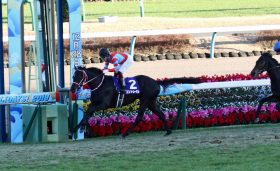 JRA“コントレイル後継者候補”が今週末に登場!? リーディングトレーナーを独走する矢作芳人厩舎が送り出す期待の超良血馬