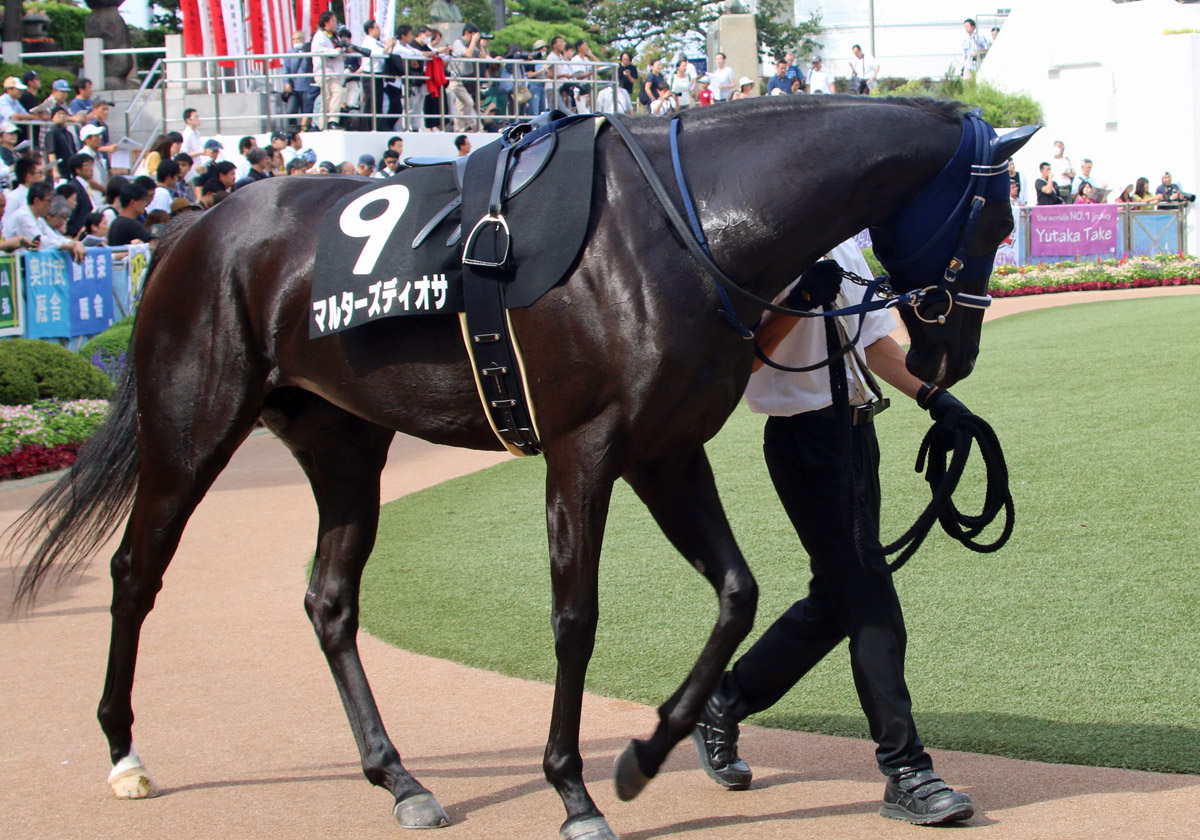 JRA阪神JF（G1）リアアメリアから「好配当」も！ 信頼の「現場ネタ」が導く「究極の三連単」が決定!!の画像2