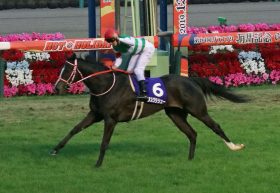 元JRAアンカツ「正直、つまらん」ノーザンファーム「使い分け」に苦言……日本馬海外大活躍も「昔」とは異なる事情