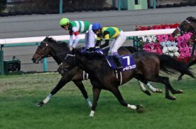 JRA有馬記念（G1）武豊「神判断」でワールドプレミア末脚爆発！ サートゥルナーリア復活「3歳馬」躍進の中、惜しまれる「アノ馬」の不在