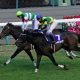 JRA「無観客」でサートゥルナーリア無双!? 金鯱賞(G2)へ「落ち着いて走ることができれば」最大のネック気性難に僥倖……
