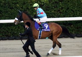 JRA大阪杯（G1）アーモンドアイ参戦も!? サウジ「日本人入国停止」新型コロナウイルス影響続くか……