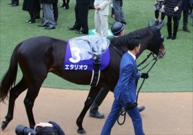 JRA日経賞（G2）「シルコレ」エタリオウ1着固定でOK!? 「極生」現場情報で陣営が語った復活理由と「超強力助っ人」とは