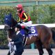 JRAグローリーヴェイズ宝塚記念(G1)で復帰も「鞍上」は!? 主戦M.デムーロ騎手ラッキーライラック濃厚で浮上する「あの騎手」の動向