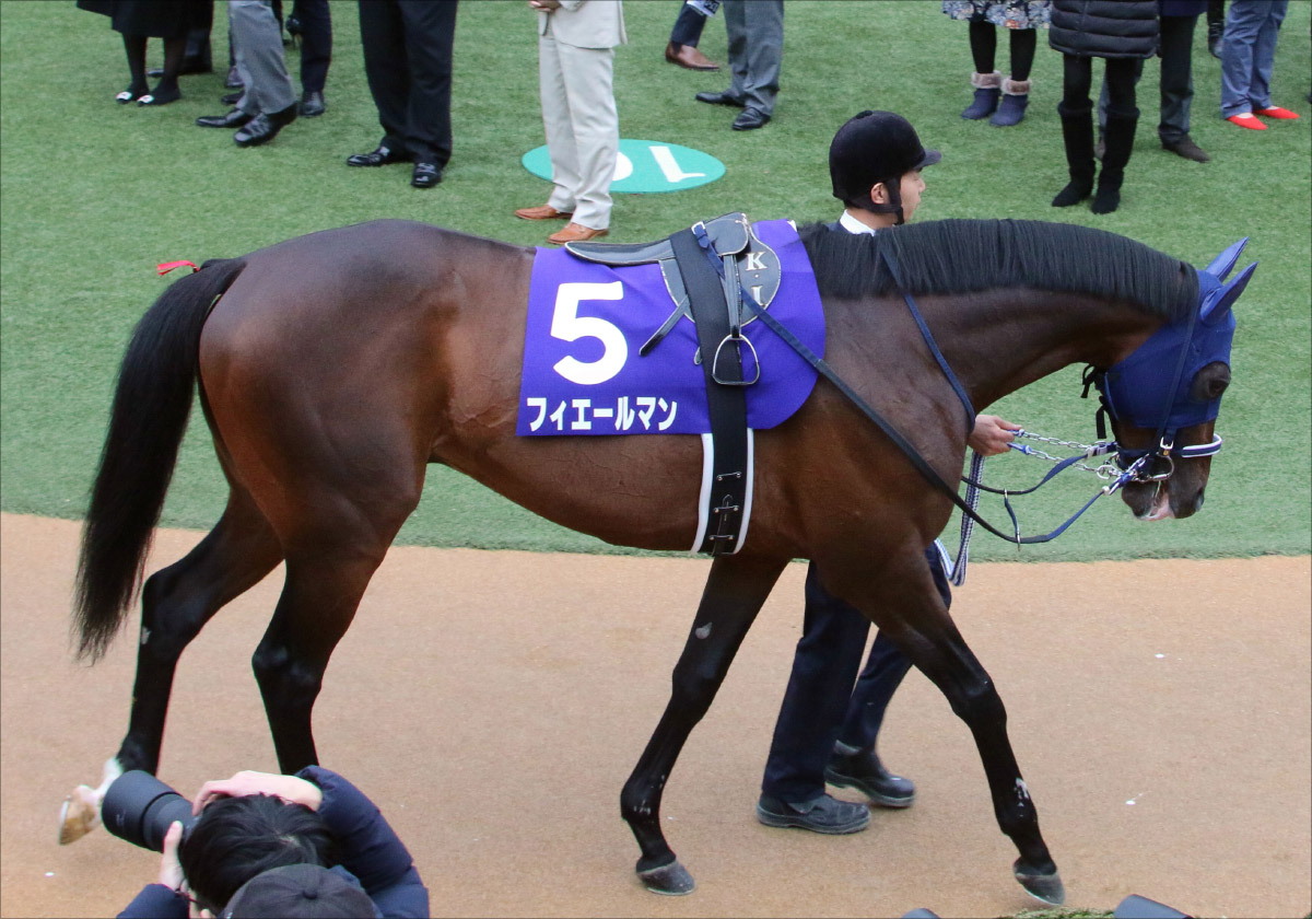 JRA【有馬記念(G1)展望】アーモンドアイと接戦したフィエールマンVSクロノジェネシスの一騎打ち! 武豊ワールドプレミアが大逆転狙うの画像2