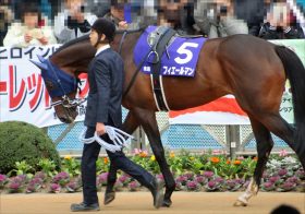 C.ルメール「神騎乗」再び!? 有馬記念（G1）フィエールマン・手塚師「向正面あたりから……」想像するは伝説のレースか