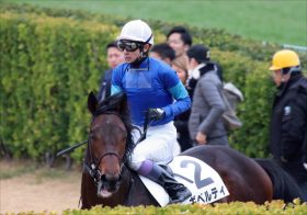 JRA武豊ギベルティに「不安」データ!? きさらぎ賞（G3）制覇で、小島茂之厩舎「再生」の切り札になれるか