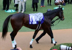 JRA当初はあの外国人騎手に打診!? 「武豊×キセキ」天皇賞・春（G1）コンビ結成の裏で消えた幻のパートナー