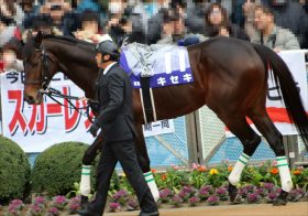 JRA武豊もニッコリ!? 京都大賞典（G2）キセキ「脚質転換」の効果抜群……完璧エスコート浜中俊が試みた「課題」とは