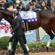 JRA菊花賞(G1)西山茂行オーナーが語った「異端の逃亡者」誕生秘話。グレード制導入以降「唯一」逃げ切ったセイウンスカイの伝説【特別インタビュー】
