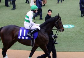 JRA天皇賞・秋（G1）キセキ、ウインブライトら「6歳馬」4頭が敗退で「キョウエイプロミスの呪い」がまたも継続!?　37年前の悲劇とは……