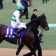 JRA天皇賞・春(G1)横山典弘「3度」の伝説! 待望ゴールドシップ、口笛7馬身イングランディーレ、下剋上サクラローレル