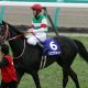 JRA「リスグラシュー×レーン」の再現なるか!? オーシャンS（G3）「期待のジョッキー」ヒューイットソンがハウメアに有終の美を!?