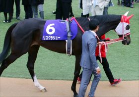 関係者が激白!?日本馬が豪州へ行かなくなった“裏事情”