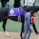 【競馬ライター募集】在宅テレワークOK! 副業希望OK、マイペースで副収入ゲットのチャンス