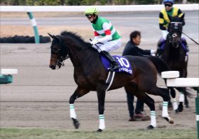 JRAサートゥルナーリアに負けていられない！AJCC（G２）兄グローブシアターが波乱を起こすか!?