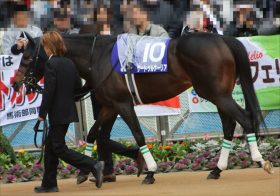 JRAサートゥルナーリア「池添謙一」新コンビだけじゃない、アーモンドアイのジャパンC（G1）出走可能性が「非常に高くなった」理由