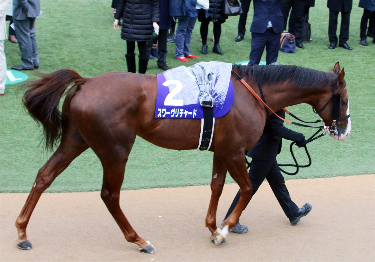 有馬記念（G1）オーソリティは「過剰人気」!? 圧倒的有利「3歳馬」も今年はトーンダウン……。3年前、キタサンブラックに屈したアノ馬より「不安大」の画像3