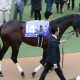 JRA三浦皇成「消極的」騎乗に苦しい弁明……1番人気ぶっ飛ばしにジャックドールまで「被害馬認定」のとばっちり
