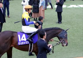 JRAヴェロックス川田「あまりにも結果が出なかった」小倉大賞典（G3）57キロで確勝期すも9着完敗