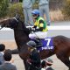 JRAも驚愕の「人為的ミス」でレース不成立相次ぐ……名古屋競馬“普通にスタート”も、まさかの「勘違い」で5800万円台無し……