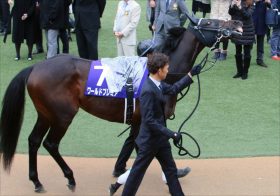 JRAジャパンC（G1）武豊ワールドプレミア6着も「有馬記念」に急浮上!? 「いいレースができた」オーナー“結婚祝い”へ内容充実