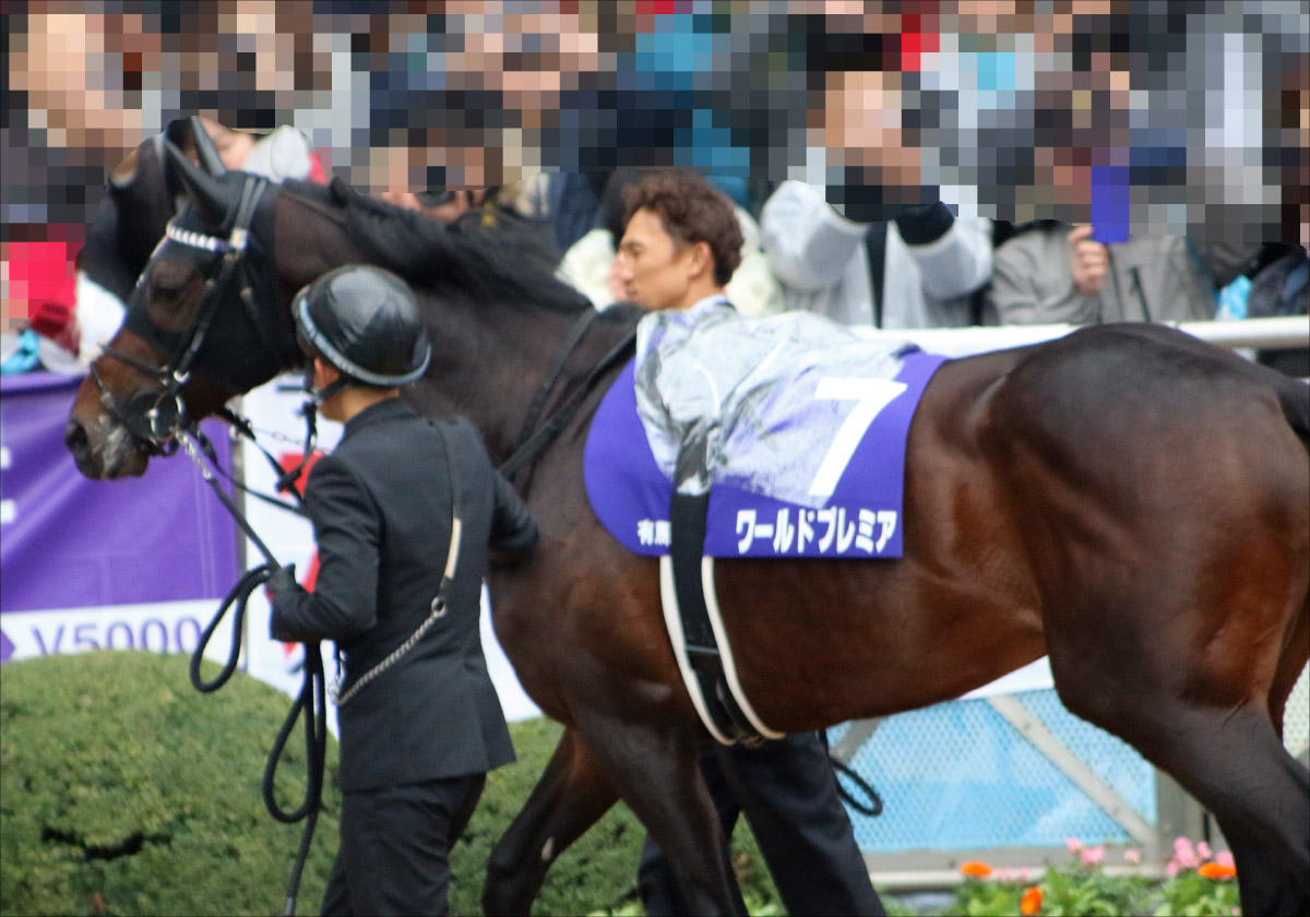 JRA「凱旋門賞(仏G1)出走取消」ジャパンがジャパンC(G1)参戦を視野!? コントレイルに挑戦も武豊騎手とのコンビ再結成は不可?の画像2