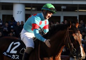 JRAサリオスを置き去り！ セントライト記念（G2）フィリオアレグロ追い切りで好仕上がりアピールも……「本格化は来年」の運命？