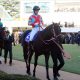 【JBCスプリント(G1)展望】金沢1400mでマイラーに勝機あり!? サンライズノヴァは復活なるか、前哨戦快勝サクセスエナジーはベスト条件
