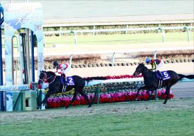 JRA無敗2冠馬コントレイルが超えなければならない壁!? ディープインパクト産駒の弱点とは