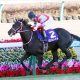 JRA有馬記念(G1)「意外な」豪華メンバーに一安心!? フィエールマンVSクロノジェネシスにラッキーライラック参戦、3歳バビットら「未完の大器」が続々……
