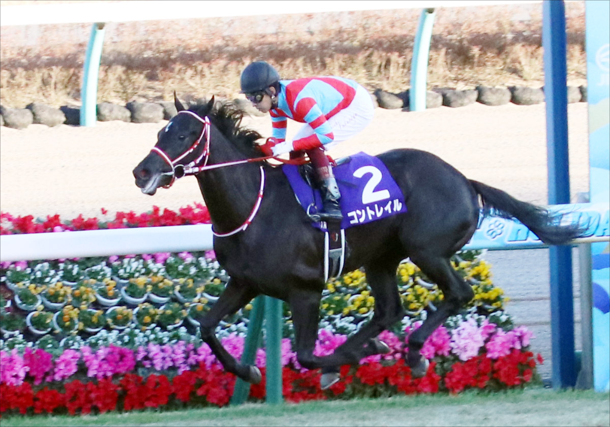 まねき馬 レインボーカード コントレイル 菊花賞 三冠達成 競馬カード