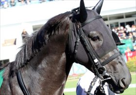 JRA武豊VS識者「菊花賞」論争再び!? デアリングタクトVSレイパパレ「初対決」は？「鞍上問題」ルメール嬉しい悲鳴！ 新登場「女性騎手2人」 屈辱の「迷実況」から29年【週末GJ人気記事総まとめ】