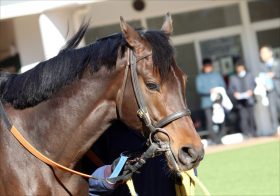 JRAフラワーC（G3）「超良血馬」レッドルレーヴが飛躍!?　ルメール“代打”L.ヒューイットソン騎手にチャンス到来？