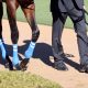JRA【きさらぎ賞(G3)展望】武豊ヨーホーレイクと「大逸走」ランドオブリバティが激突!デビュー前はダノンザキッドに“圧勝”ダノンジェネラルは試金石の一戦