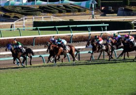 【ニュージーランドT（G2）展望】無敗の2歳王者ドルチェモアが始動！桜花賞除外の実力派牝馬に要注意!?