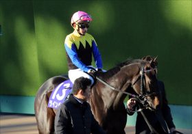 武豊×金子×ディープの最強トリオ ラインベックは若駒Sで確勝を期す