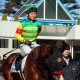 JRA 現役生活に「黄信号」!? 再び足を骨折してしまった現役最年長54歳、柴田善臣騎手の気になる「進退」