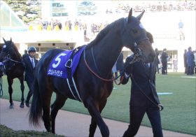 JRAセントライト記念「回避」ヴェルトライゼンデに「落とし穴」!? 神戸新聞杯はコントレイル以外に意外な“敵”が存在か