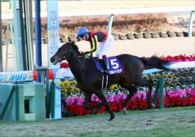 JRA池添謙一「オルフェーヴルよりヤバい」!? 菊花賞（G1）ヴェルトライゼンデ「狂気」父の血が秘める一発大逆転のポテンシャル