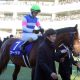 JRA“苦労人”調教師が騎手時代の度重なる“不運”乗り越え平地重賞初制覇! キーンランドC(G3)エイティーンガールが差し切り勝ち