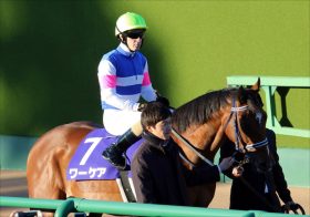JRA日本ダービー（G1）ワーケアはフィエールマン級!? 「ルメール×手塚」だけじゃない！ 先輩僚馬と同じ臨戦過程で大舞台に挑む！
