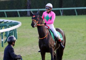 JRA皐月賞（G1）クリスタルブラックだけが当てはまった「勝利の法則」発見!? 桜花賞（G1）デアリングタクトにヒントが隠れていた？
