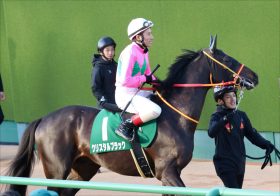 JRAトゥルーヴィル「持ち時計アテにならない」京成杯馬クリスタルブラックと気になる共通点