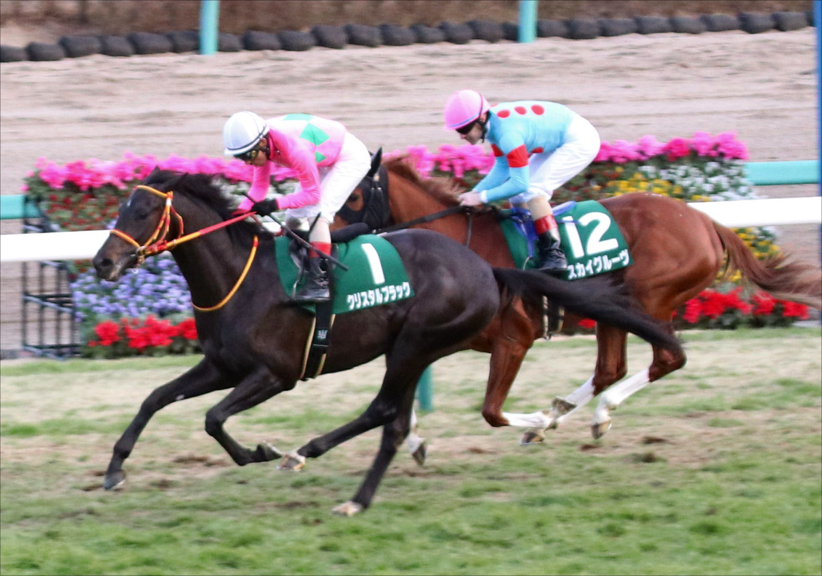 JRA【皐月賞(G1)展望】コントレイル、サリオス、サトノフラッグ最も強いのは? 三強対決の「答え」まであとわずかの画像6