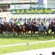 JRA ニュージーランドT(G2)ダート無敗馬「◎」で余裕の爆穴ゲット!? レイパパレ弟に「超大物」の予感【八木遊のフォーメーション馬券予想】