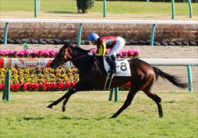 JRA NHKマイルC（G1）ルフトシュトローム「世代6頭目の無敗G1馬」へ視界良好！ D.レーン騎手「チャンスのある馬」重賞馬券率は驚愕の100％