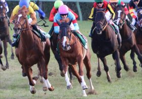 JRAデアリングタクトだけじゃない！ 「オークス」に宿命づけられた超良血スカイグルーヴがフローラS（G2）で確勝期す